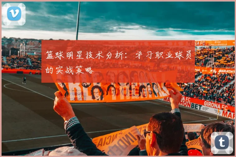 篮球明星技术分析:学习职业球员的实战策略